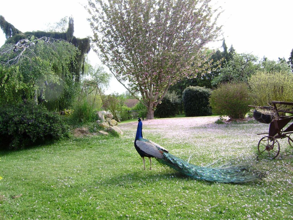 Bed and Breakfast La Ferme Du Bourg Eraines Екстер'єр фото